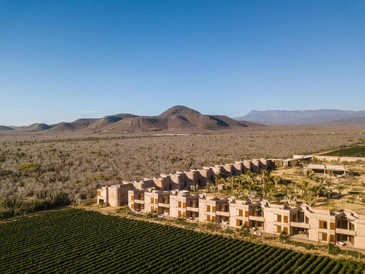 Paradero Todos Santos - Exclusive Experiences Included Exterior photo